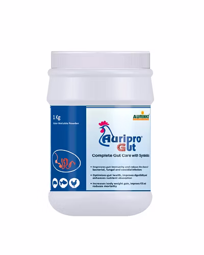 Auripro gut-Complete gut care with synbiotics-123456830-S