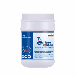 aurinko auripro gut ws-complete gut care with synbiotics