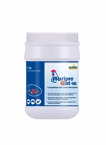 Auripro gut ws-Complete gut care with synbiotics