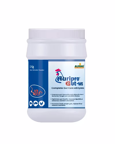Auripro gut ws-Complete gut care with synbiotics-123456832-S