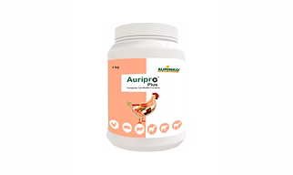 Auripro plus-Complete Gut Health Formula