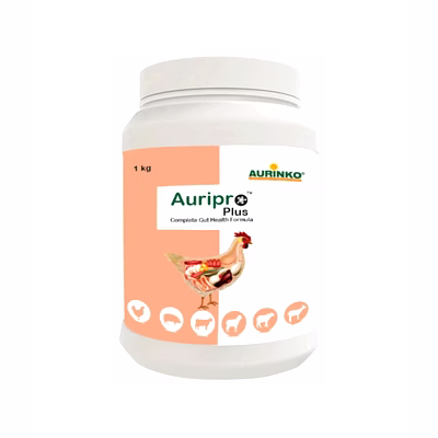 aurinko auripro plus-complete gut health formula