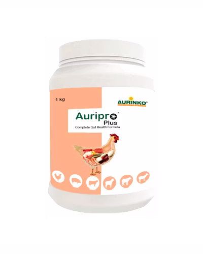 Auripro plus-Complete Gut Health Formula-123456833-S