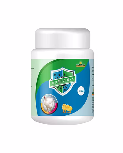 Aurivir – S-Powerful Phytogenic Immunomodulator against DNA Virus Infections-123456834-L