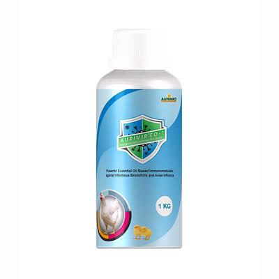aurinko aurivir – eo 1-powerful essential oil based immunomodulator against infectious bronchitis and avian influenza