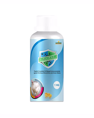 Aurivir – EO 1-Powerful Essential Oil Based Immunomodulator against Infectious Bronchitis and Avian Influenza-123456835-M