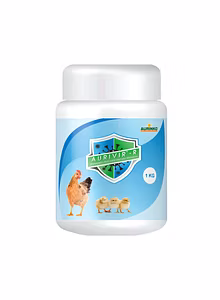Aurivir – R-Powerful Phytogenic Immunomodulator against Infectious Bronchitis and Avian Influenza