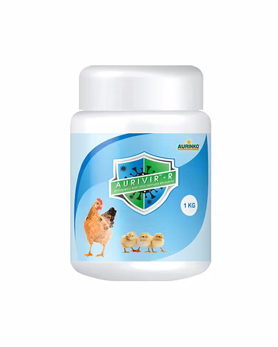 Aurivir – R-Powerful Phytogenic Immunomodulator against Infectious Bronchitis and Avian Influenza-123456837-L