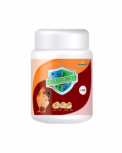 Aurivir – IBD-Powerful Phytogenic Immunomodulator against Infectious Bursal Disease-123456838-L