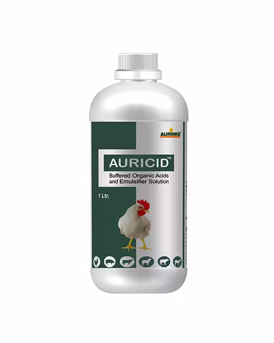 Auricid-Buffered Organic Acids and Emulsifier Solution-123456848-M