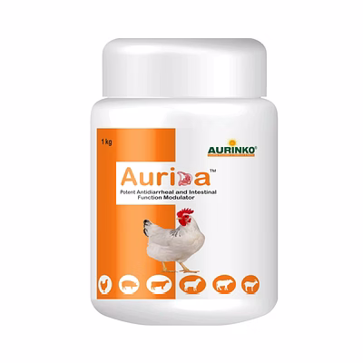 aurinko aurida-potent antidiarrheal and intestinal function modulator