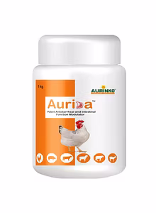 Aurida-Potent Antidiarrheal and Intestinal Function Modulator