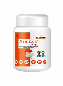 Aurida pro-Potent Antidiarrheal and Intestinal Function Modulator