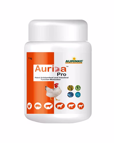 Aurida pro-Potent Antidiarrheal and Intestinal Function Modulator-123456850-M