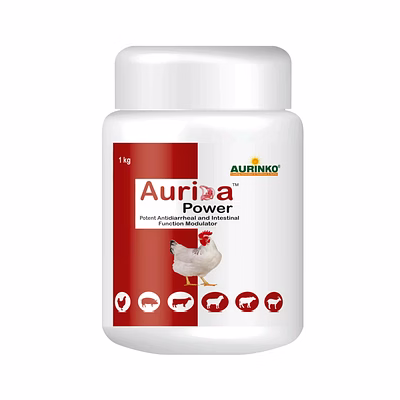 aurinko aurida power-potent antidiarrheal and intestinal function modulator