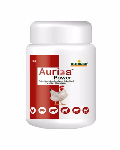 Aurida power-Potent Antidiarrheal and Intestinal Function Modulator-123456851-M