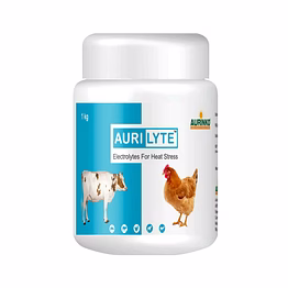 aurinko aurilyte-electrolytes for heat stress