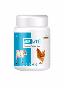 Aurilyte-Electrolytes for Heat Stress