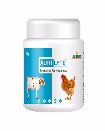Aurilyte-Electrolytes for Heat Stress-123456855-M