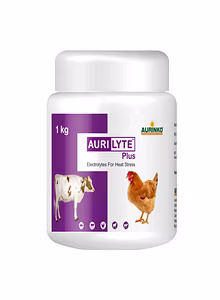 Aurilyte Plus-Electrolytes for Heat Stress
