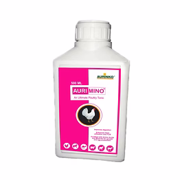 aurinko aurimino-potent immunomodulator