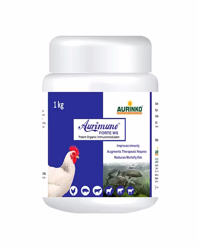Aurimune Forte ws-Potent Immunomodulator-123456859-L