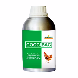 aurinko coccibac-supportive therapy for bacterial and coccidial infections
