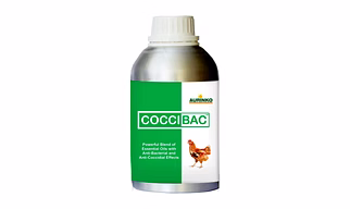 Coccibac-Supportive Therapy for Bacterial and Coccidial Infections