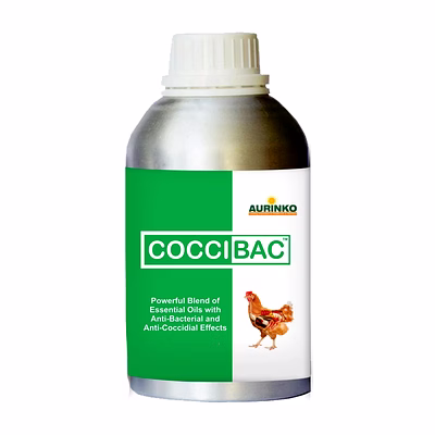 aurinko coccibac-supportive therapy for bacterial and coccidial infections