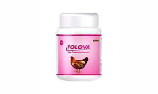 Folova-From Follicle to Egg — Reproductive Health Redefined