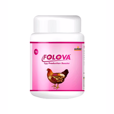 aurinko folova-from follicle to egg — reproductive health redefined