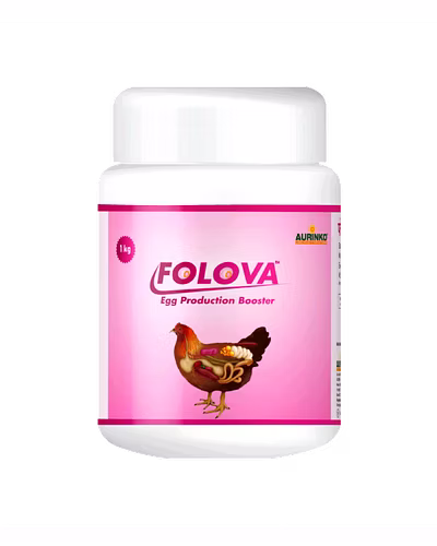 Folova-From Follicle to Egg — Reproductive Health Redefined-123456872-L