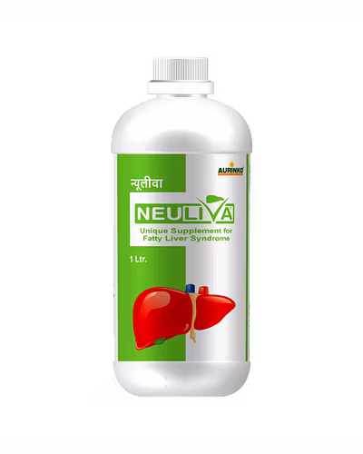 Neuliva-Unique Supplement for Fatty Liver Syndrome-123456876-M