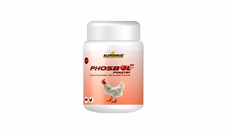 Phosbol-Supports Metabolic Activation