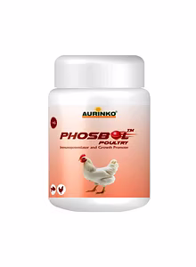 Phosbol-Supports Metabolic Activation
