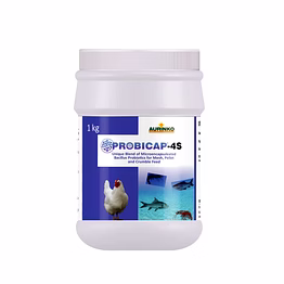 aurinko probicap 4s-micro-encapsulated probiotic formulation.