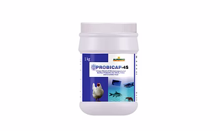 Probicap 4S-Micro-encapsulated Probiotic Formulation.