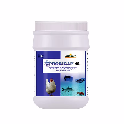 aurinko probicap 4s-micro-encapsulated probiotic formulation.