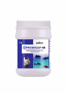 Probicap 4S-Micro-encapsulated Probiotic Formulation.