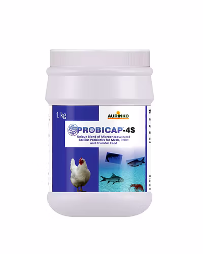 Probicap 4S-Micro-encapsulated Probiotic Formulation.-123456880-L