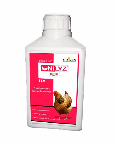 Unilyz penta-A multi - purpose enzyme-123456882-S