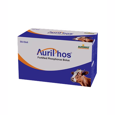 aurinko auriphos-enzyme premix