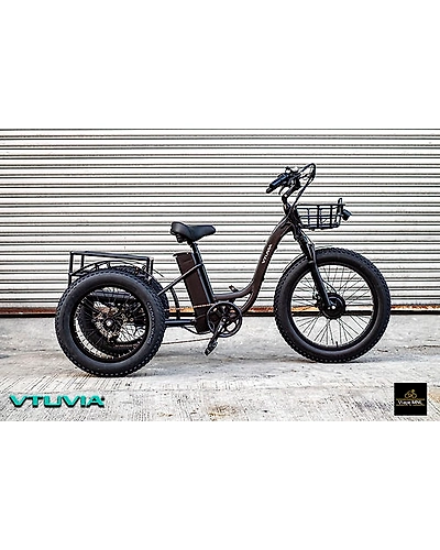 Shop VTUVIA FT2 Tri Wheel Cargo Pedal assist ebike Black High Quality Electric Bikes Online Emarket