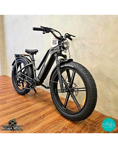 Fiido  TITAN ebike-2