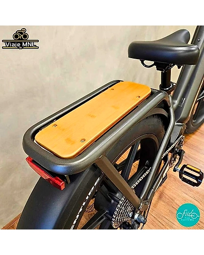Fiido  TITAN ebike-3