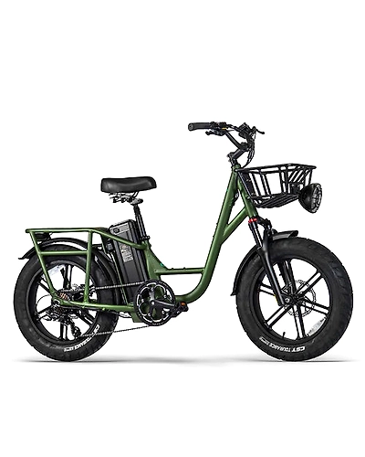 FIIDO T1 CARGO EBIKE-11003