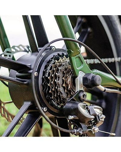 FIIDO T1 CARGO EBIKE-2