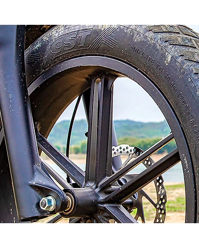 FIIDO T1 CARGO EBIKE-3