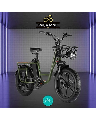 FIIDO T1 CARGO EBIKE-4