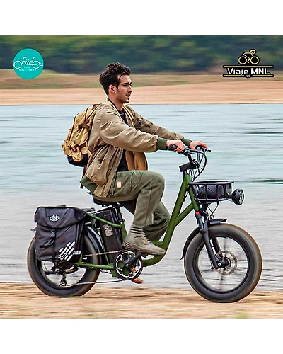 FIIDO T1 CARGO EBIKE-5